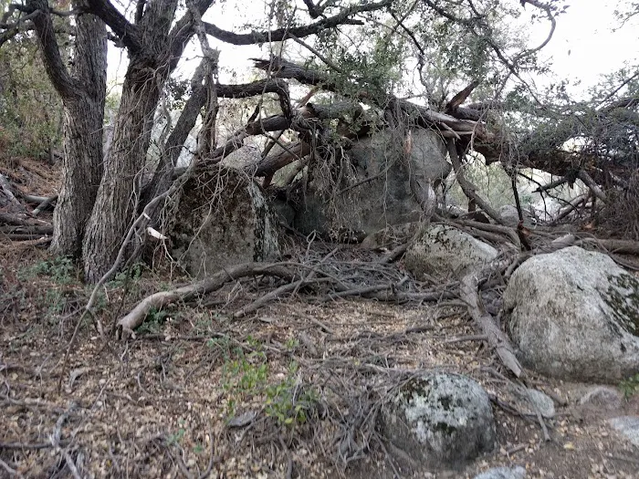 Royal Pines Estates Picture 4