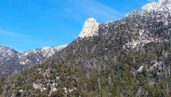 Idyllwild Trailer Park Picture 6