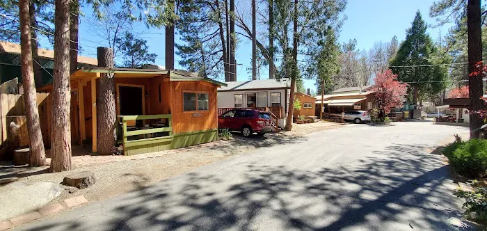Idyllwild Trailer Park Picture 3