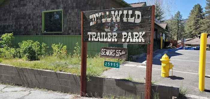 Idyllwild Trailer Park Picture 5
