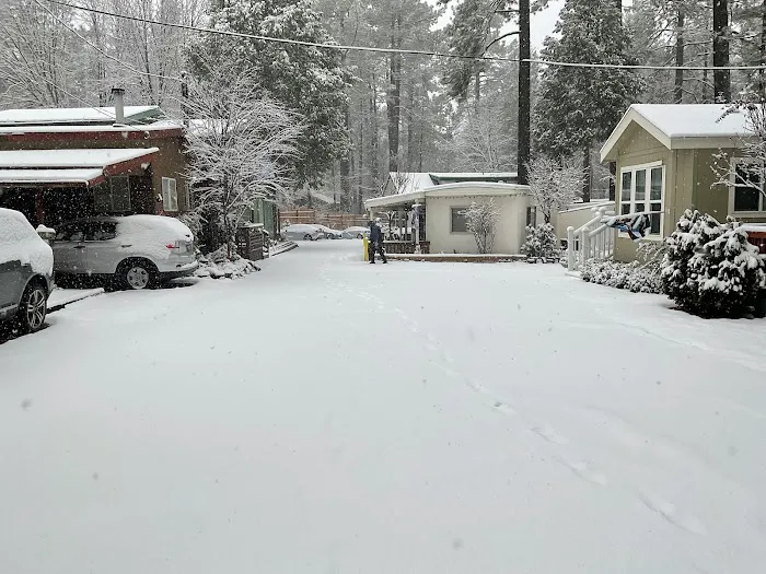 Idyllwild Trailer Park Picture 4