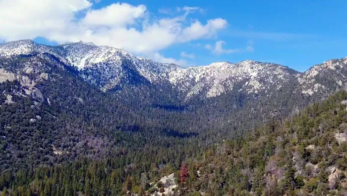 Idyllwild Trailer Park Picture 2