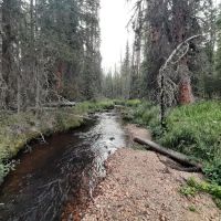 Onahu Creek ico