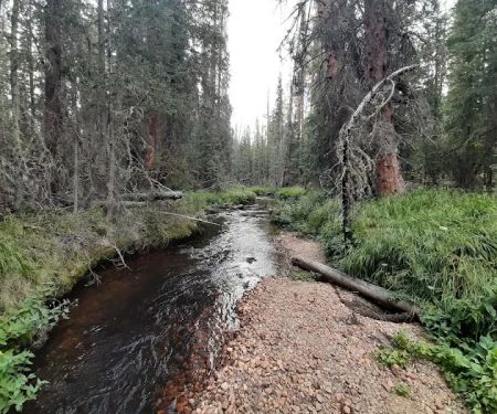 Onahu Creek