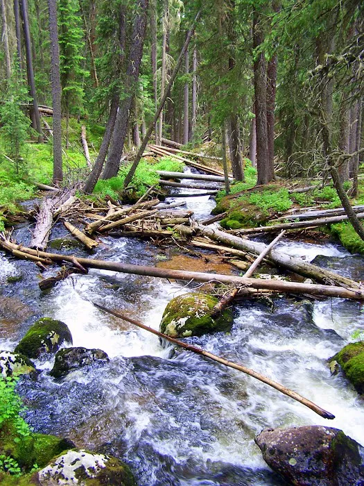 Onahu Creek Picture 3