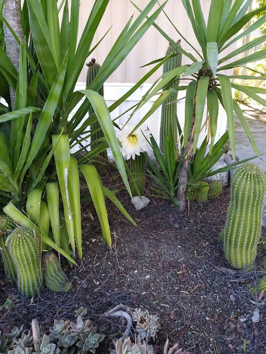 Oasis Mobile Home Park Picture 5
