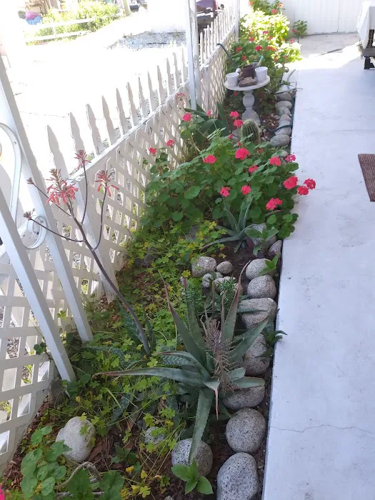 Oasis Mobile Home Park Picture 8