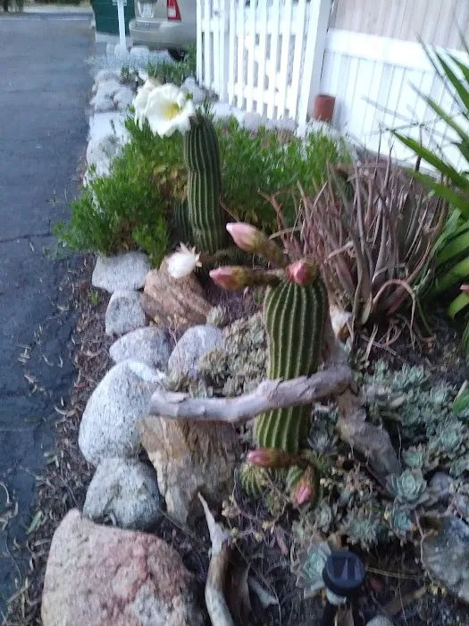 Oasis Mobile Home Park Picture 9