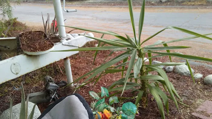 Oasis Mobile Home Park Picture 10