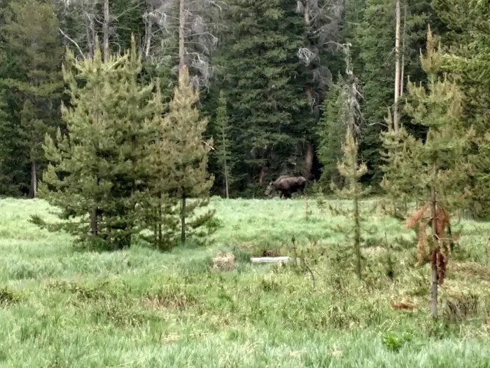 Upper Onahu Picture 4