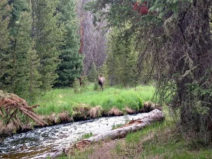 Upper Onahu Picture 5