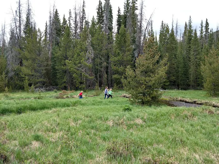Upper Onahu Picture 9