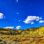 Blacktail Creek Campground