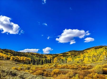 Blacktail Creek Campground