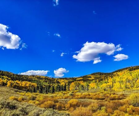 Blacktail Creek Campground