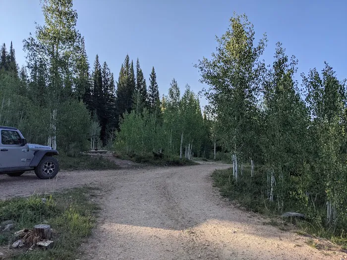 Blacktail Creek Campground Picture 3
