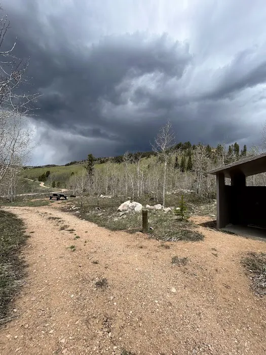 Blacktail Creek Campground Picture 4