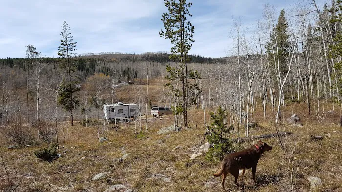 Blacktail Creek Campground Picture 6