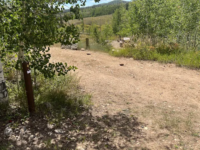 Blacktail Creek Campground Picture 7