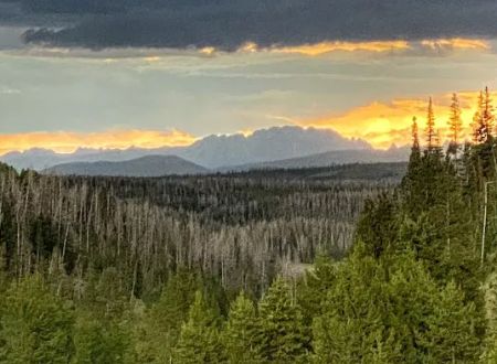 Lynx Pass Campground