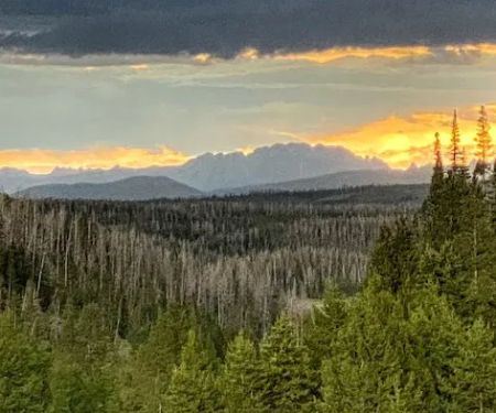 Lynx Pass Campground