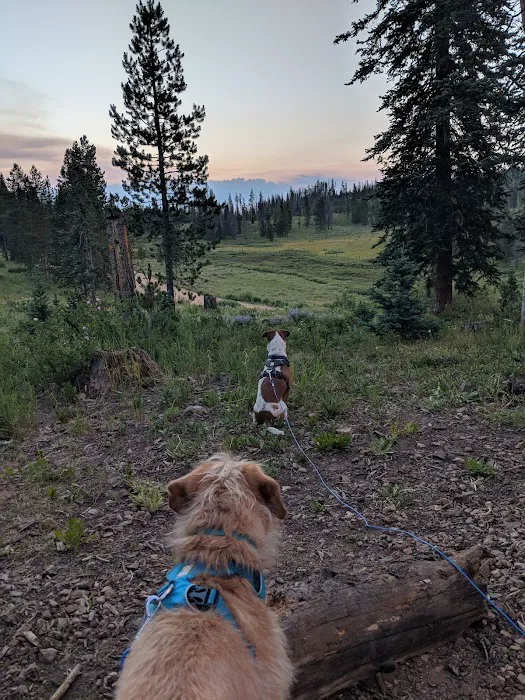 Lynx Pass Campground Picture 4