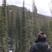Granite Falls ico