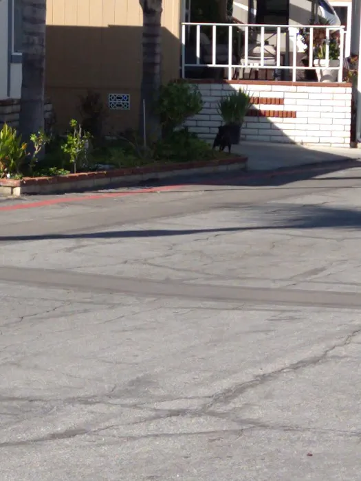 Sun Valley Estates Manufactured Housing Community Picture 9