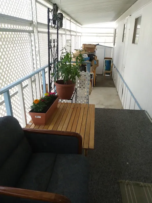 Juniper Terrace Mobile Home Picture 6