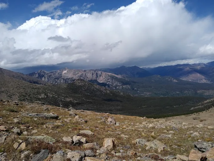 Boulderfield Picture 4