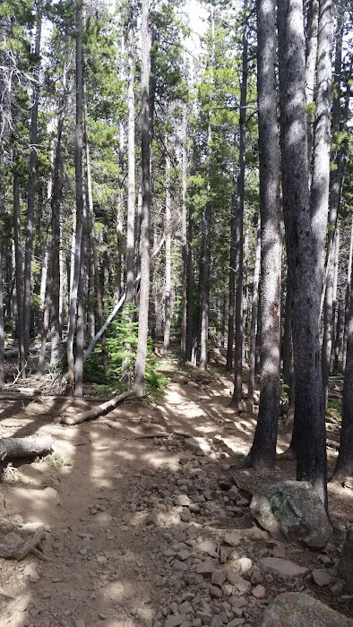 Moore Park Picture 10