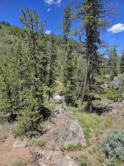 Gold Park Campground Picture 4