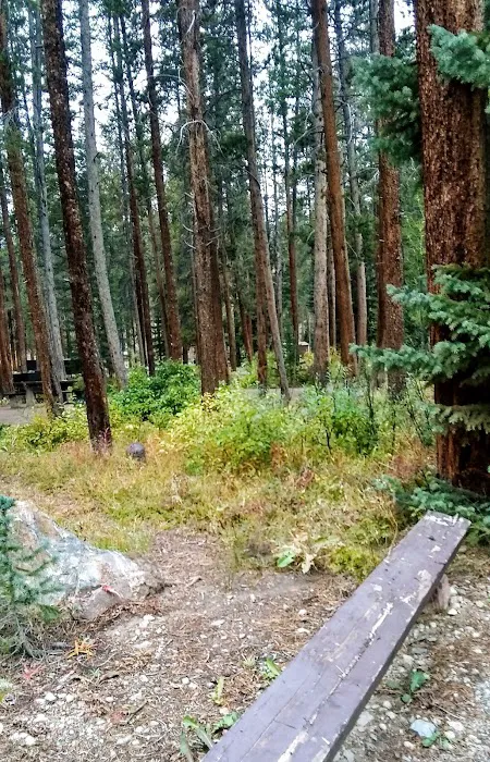 Gold Park Campground Picture 8