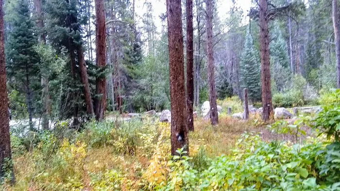 Gold Park Campground Picture 6