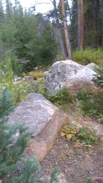 Gold Park Campground Picture 10