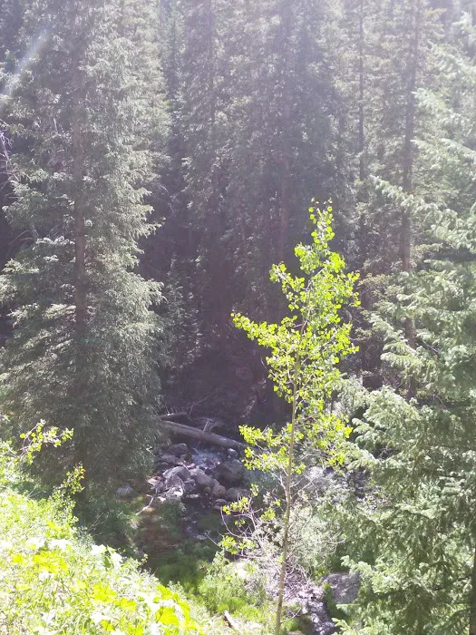 Fulford Cave Campground Picture 5