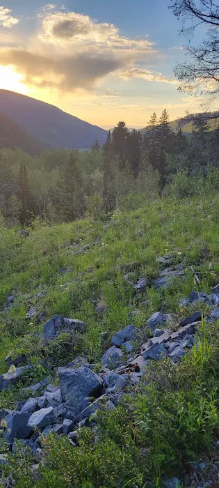 Fulford Cave Campground Picture 4