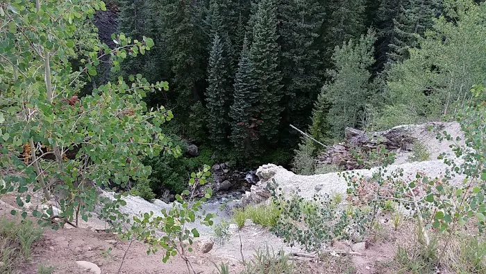 Fulford Cave Campground Picture 8