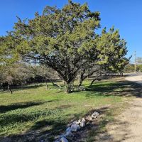 homestead hill rv ico