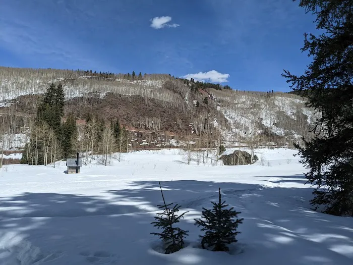 Yeoman Park Campground Picture 6