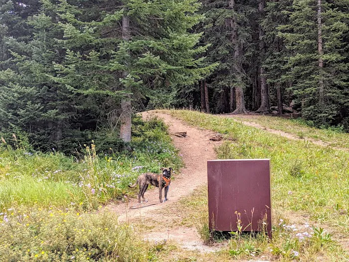 Yeoman Park Campground Picture 10