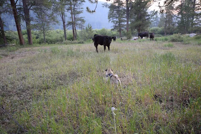 Elk Wallow Campground Picture 8