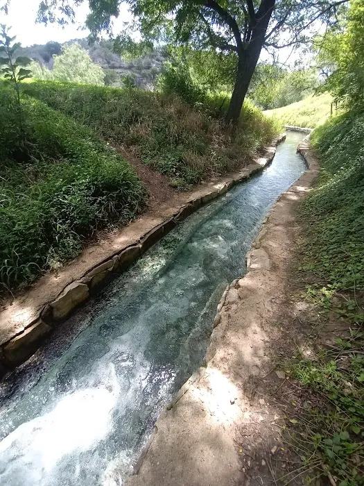 Sulphur Springs Camp Picture 7