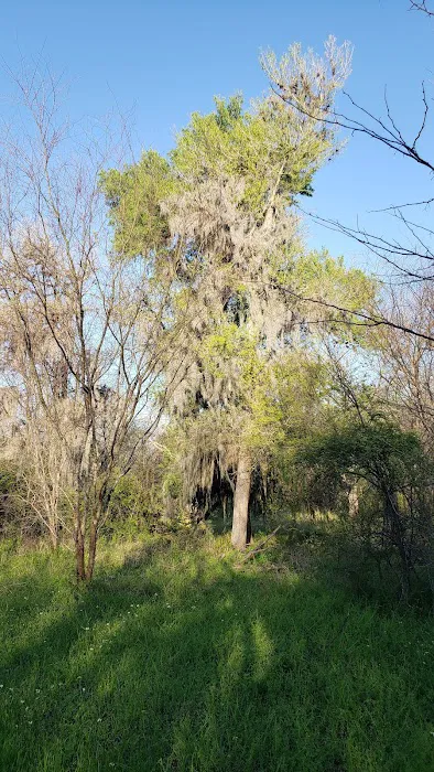 Victoria RV Park (River Park) Picture 9