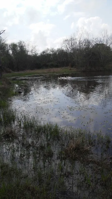 Country Comfort RV Park Picture 4