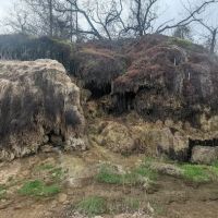 Campsite #016 ico