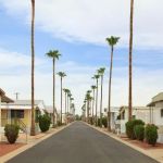 Peoria Palms