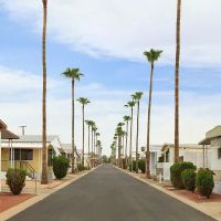 Peoria Palms ico