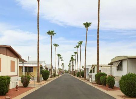 Peoria Palms