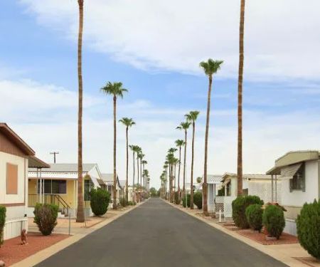 Peoria Palms